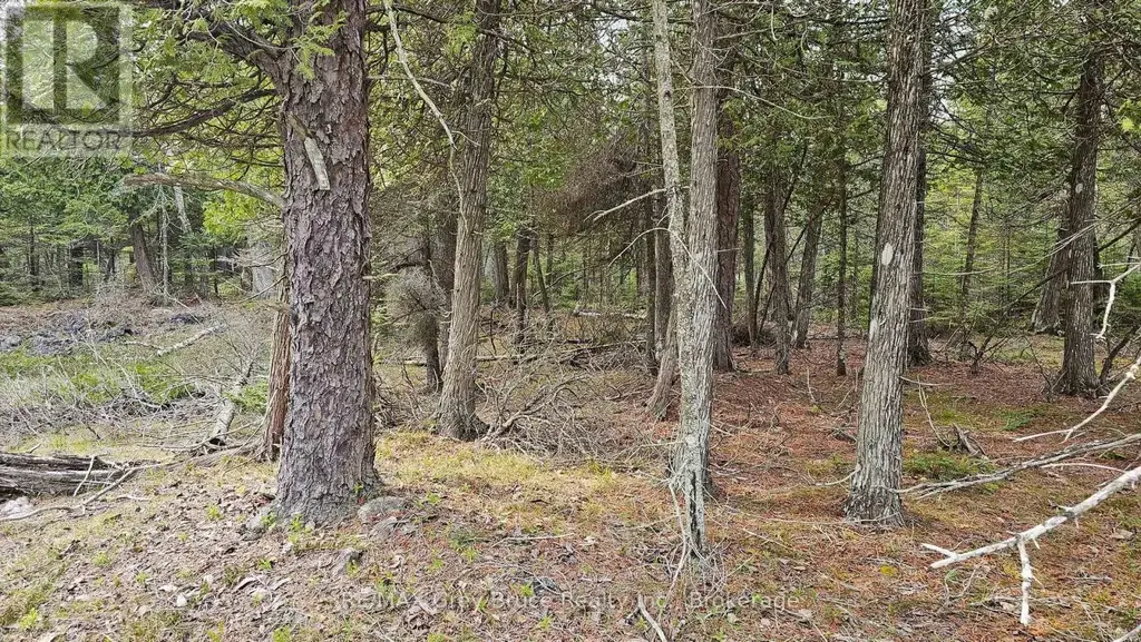 Lt 255 Pedwell Pt. Drive, Northern Bruce Peninsula